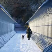 UK Snow Warning: 20cm Set to Hit Scotland in Late November