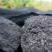 UK's Largest Biochar Plant Opens in Wiltshire for Carbon Removal
