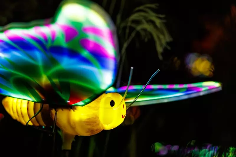 18 Magical Photos: Birmingham's Botanical Gardens Glow This Winter