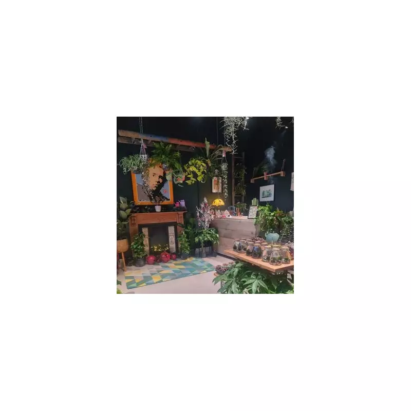 Birmingham's New Plant Shop Offers Calm Oasis for Christmas Shopping