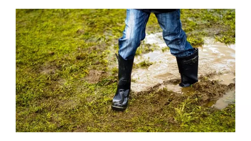 Expert's 6-Step Guide to Protect Your Garden from Winter Flooding