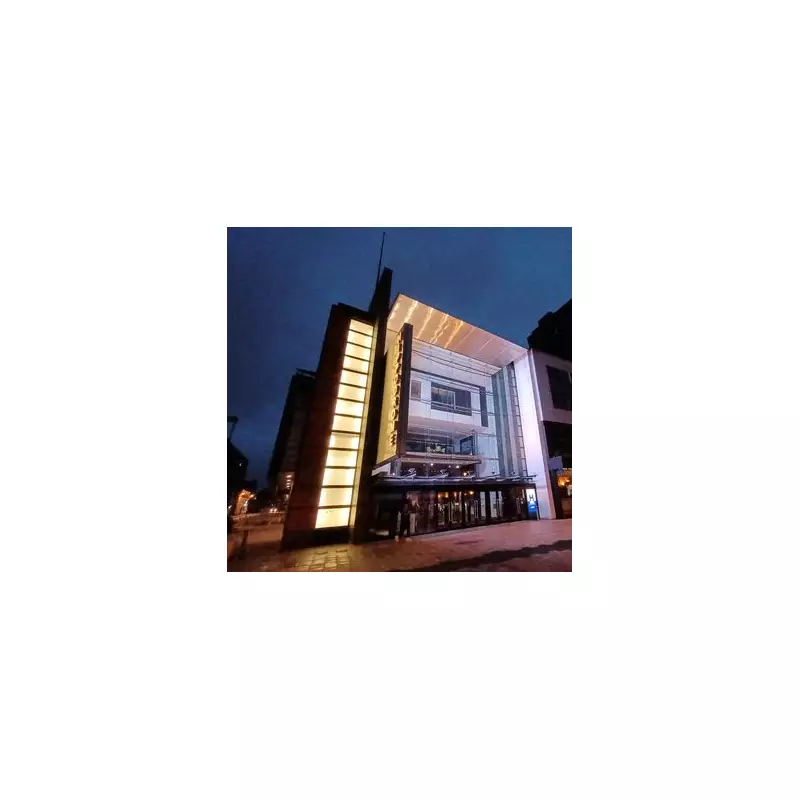 Rebel Wilson reveals 'fortune' offered for Birmingham panto role