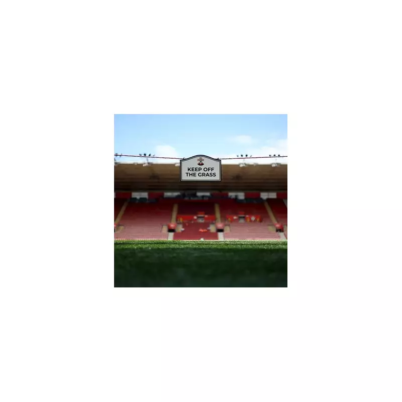 Southampton vs Birmingham City: Championship Clash Tests Blues' Away Form