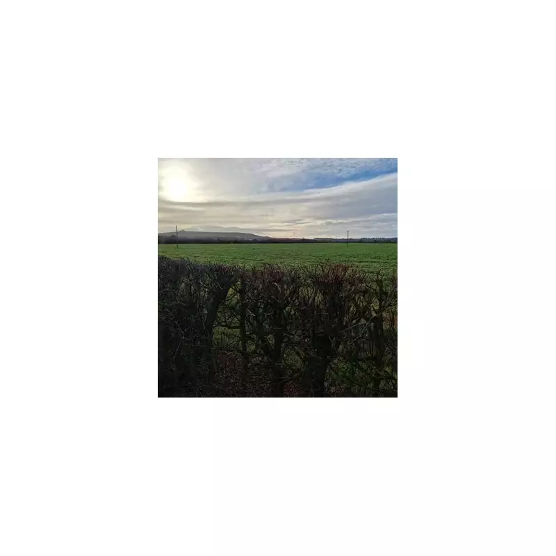 Swindon Green Belt Plan: 300 Homes Proposed Near Wanborough