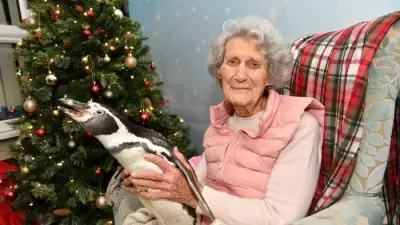 101-Year-Old Doris Switches on Christmas Lights with Penguin Pals