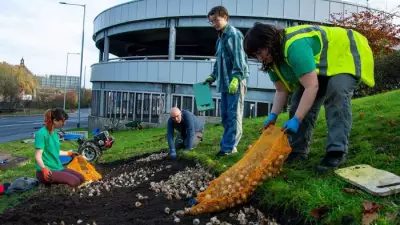 14,000 Spring Bulbs Planted in Stockport to Boost Town Centre Biodiversity