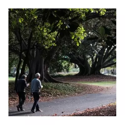 4.3 Million UK Pension Savers Shielded from New £2,000 NICs Cap