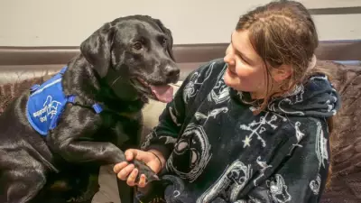Autism Assistance Dog Ivanhoe Transforms Sheffield Girl's Life, Wins Award