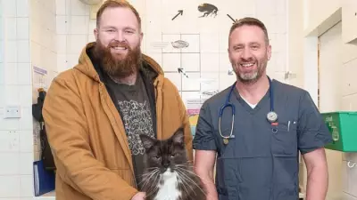 Batman the Cat Walks Again After Double Hip Surgery in Newcastle-under-Lyme
