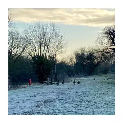 Bird Flu Outbreak at Kingsbury Water Park: Key Safety Guidance