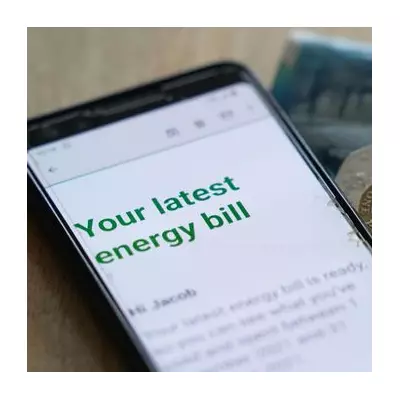 British Gas Offers 1.3m Customers Half-Price Electricity on Friday