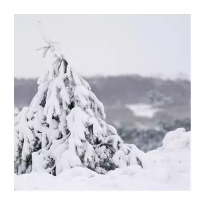 Christmas Snow Map: The English Counties Set to Escape Arctic Blast