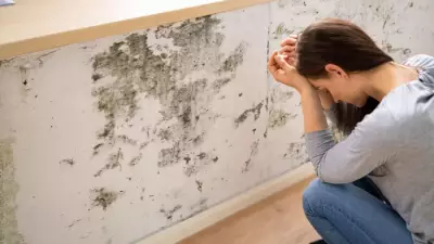 Damp & Mould Crisis: 28% of UK Homes Affected, Health Experts Warn