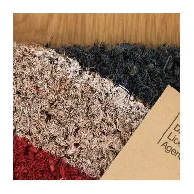 DVLA Demands £195 from EV Owners as New Road Tax Kicks In