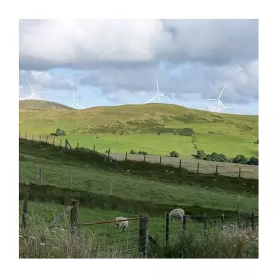 Foel Fach Wind Farm: Public Consultation Launched for 72MW Project Near Bala