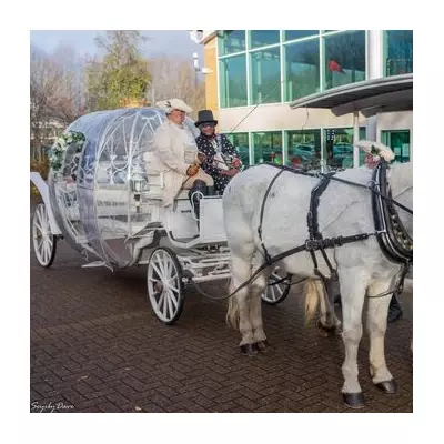 Inside the £19,000 Fifth Birthday Party with Horse-Drawn Carriage