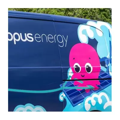 Octopus Energy & Barratt Redrow Launch 54 'Zero Bills' Homes in UK