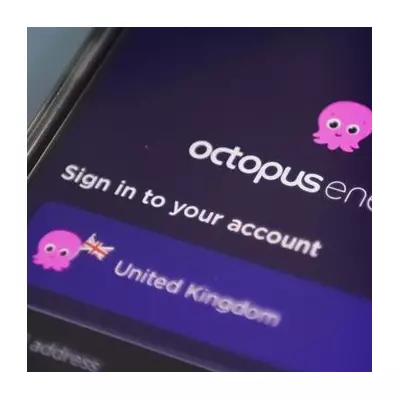Octopus Energy Slashes Refund Times to 24 Hours for UK Customers