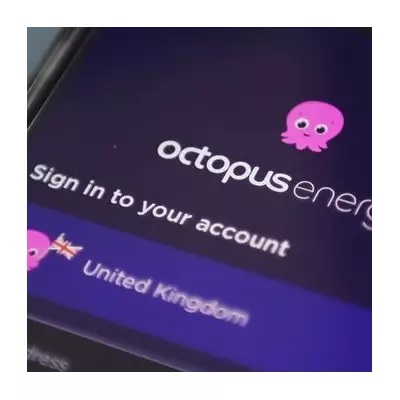 Octopus Energy: Three Simple Habits Can Slash £240 Off Your Energy Bill