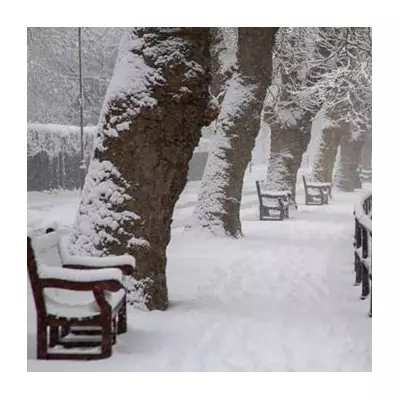 UK Braces for 250-Mile Snow Wall: Exact Date for England Revealed