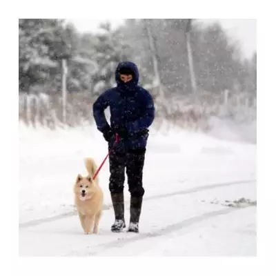 UK Braces for -3C Snow Blitz: 12 Counties on Alert Including Birmingham