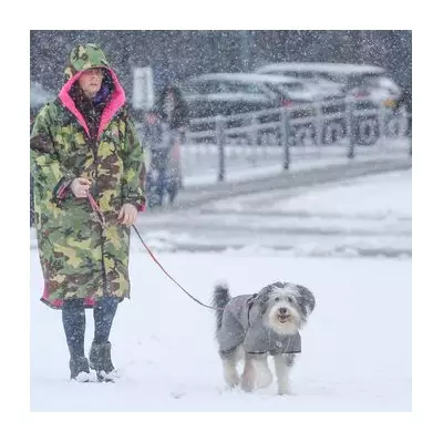 UK Braces for -7C Freeze and Widespread Snowfall in Early January
