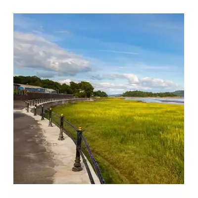 UK Hare Shooting Ban: Labour Implements 'Close Season' for Most of Year