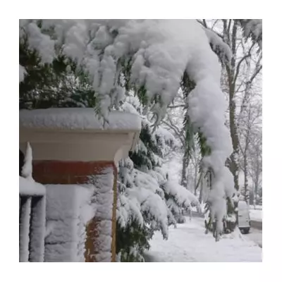 UK Snow Bomb Threat: Six Days of Snow Forecast with 80% Chance