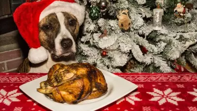 Vet Alert: 5 Festive Foods That Could Harm Your Pet This Christmas