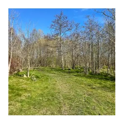 Walsall's £50m New School Plan Confirmed Amid Green Space Row