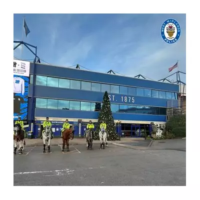 West Midlands Police issue 11 essential rules for public near police horses