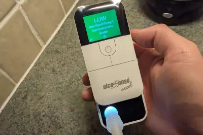 Why a Personal Breathalyser is Your Essential Festive Driving Gadget