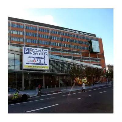 Woman Seriously Injured in Restricted Breed Dog Attack in Carlow