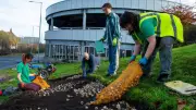 14,000 Spring Bulbs Planted in Stockport to Boost Town Centre Biodiversity