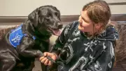 Autism Assistance Dog Ivanhoe Transforms Sheffield Girl's Life, Wins Award
