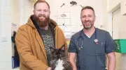 Batman the Cat Walks Again After Double Hip Surgery in Newcastle-under-Lyme