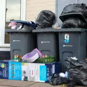 Birmingham Festive Bin Collection Changes: Key Dates and Rules for Christmas 2025