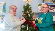 Bradford Vets' Festive Memory Tree Raises Funds for Cat Charities