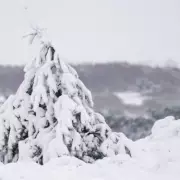 Christmas Snow Map: The English Counties Set to Escape Arctic Blast