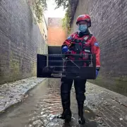 Kitten Survives 3 Days in Birmingham Sewer, Rescued After Cries Alert Public