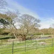 Major Incident Declared in Shropshire After Sinkhole Emerges Near Canal
