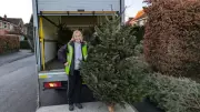 Manchester's 2026 Christmas Tree Collection to Boost Hospice Funds