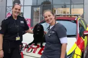 Meet Holly: West Midlands Fire Service's New Accelerant Detection Dog