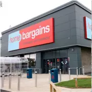 Mrs Hinch's Flash Dust Magnet Review: A Home Bargains Find That Made Housework a Breeze