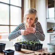 New £1,000 Pension Pot Rule Launched in UK Government Shake-Up