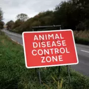 New H5N1 Avian Flu Outbreak Hits Worcestershire Poultry Flock