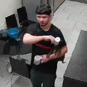 Puppy Euthanised After 'Sadistic' Owner Mutilates Toes, Breaks Bones