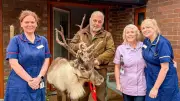 Reindeer, Footballers & Festive Cheer Light Up Nightingale House Hospice
