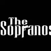 Sopranos Actor Indicted on 31 Counts in NJ Road Rage Shooting