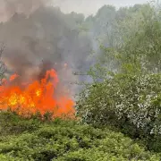 Staffordshire Fire Service Sees 22% Surge in Call-Outs, Blames Climate Change